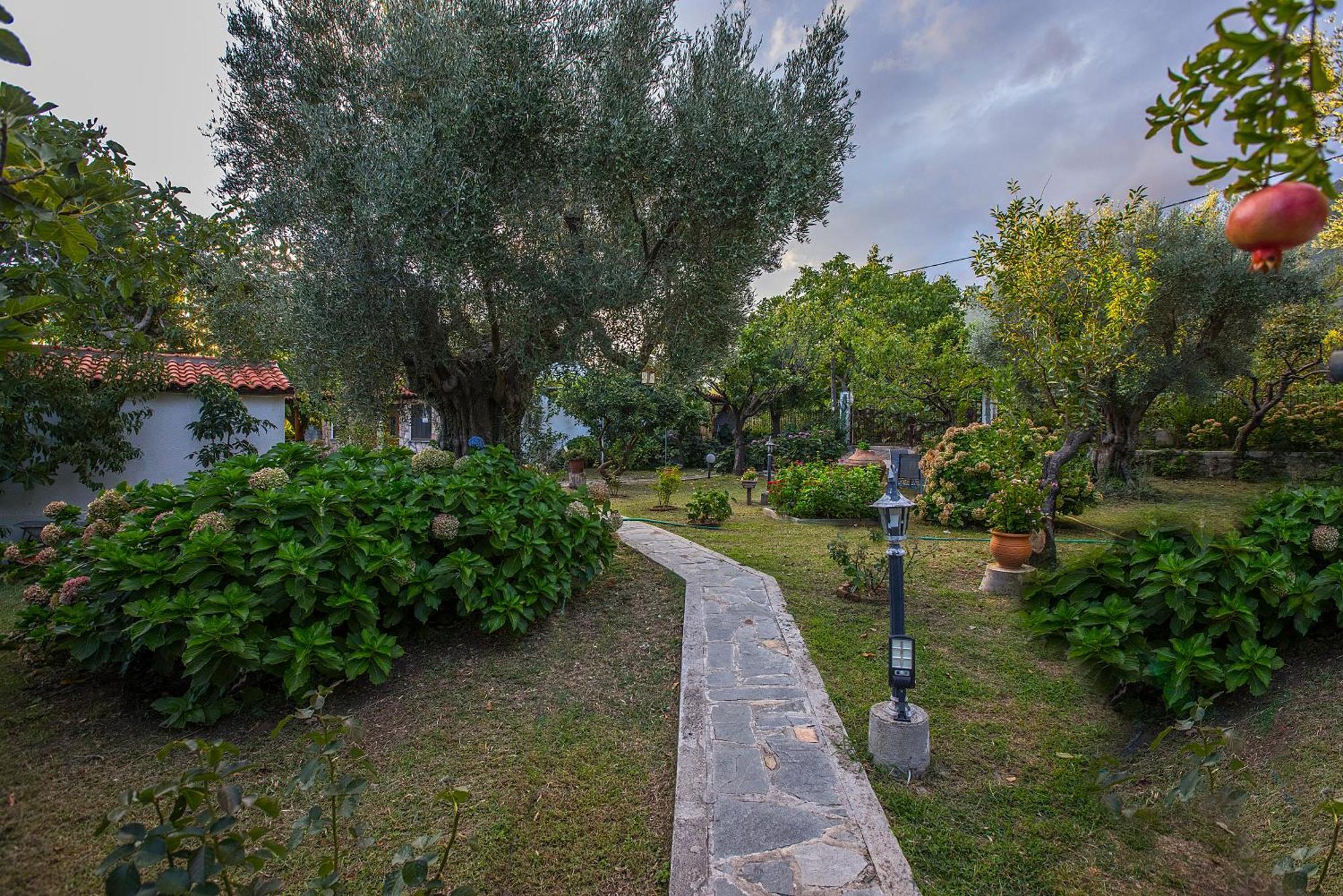 Alekas Studios Therma  Exterior photo